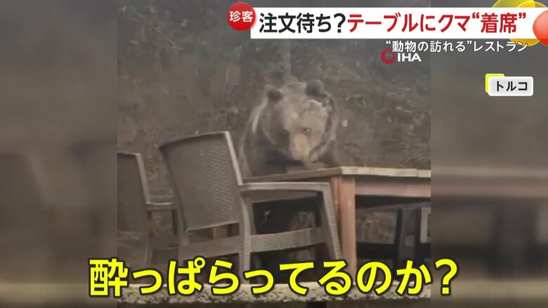 「酔っぱらってるのか？」と疑問を呈す撮影者