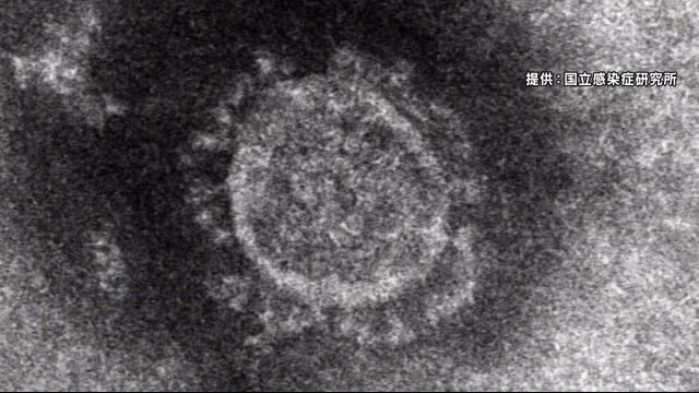 【新型コロナ】長野市で新たに1人感染確認 70代の女性 県内の累計330人に
