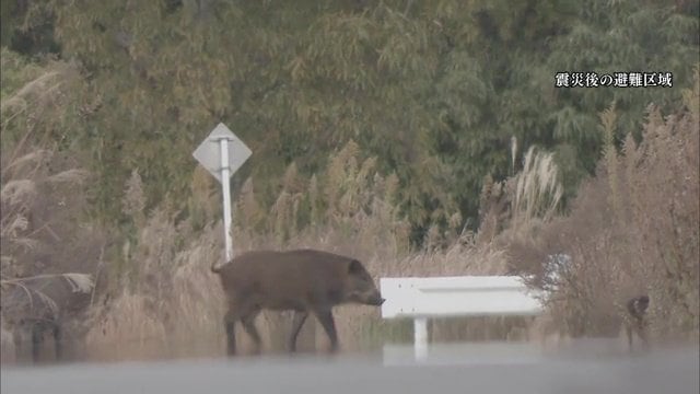 東日本大震災後の福島県・避難区域
