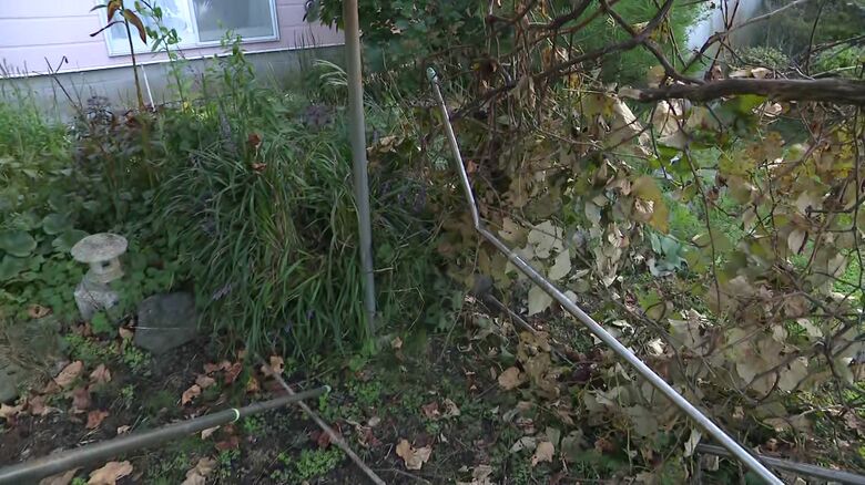 家庭菜園の金属製のブドウの棚は折り曲げられ破壊されていた