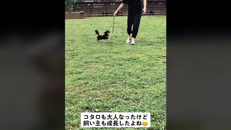 リードをおもちゃにして遊ぶように※場所は放し飼いできる、ドッグラン