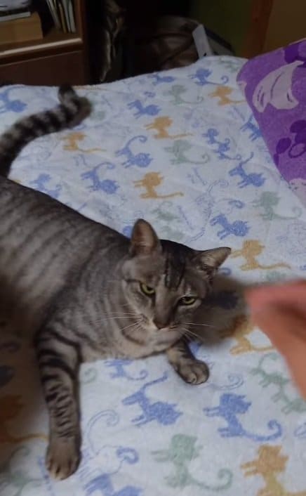 おじいちゃんの近くでリラックス