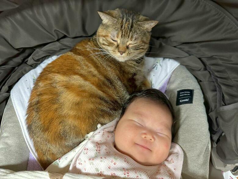 心地よさそうな表情をしている（提供：エルモとみみりんさん）