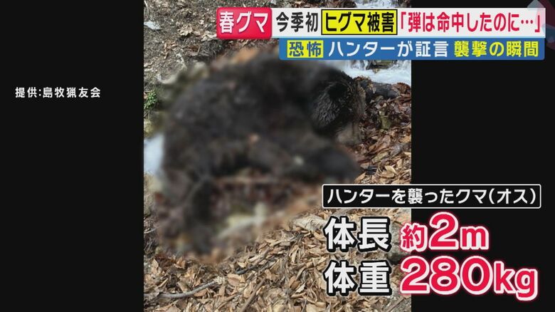 襲いかかってきたヒグマ