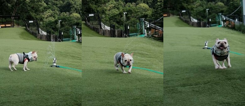 提供：むぎさん