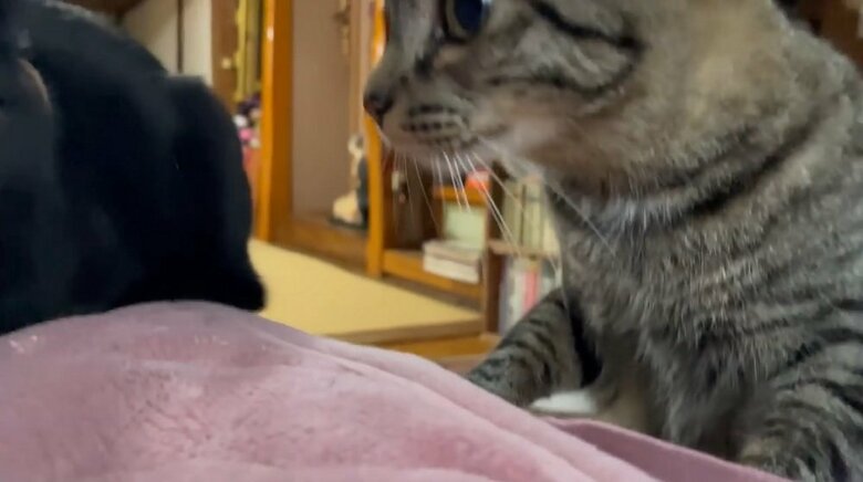 「1人にしないで」