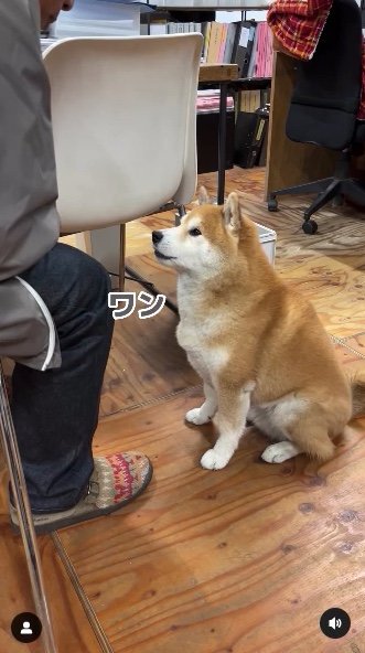 提供：エイトデザイン