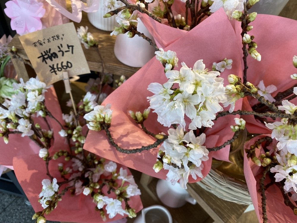 桜の枝 を購入して おうちで花見 が増加 どんな人が買うのか 生花店2社に話を聞いた Fnnプライムオンライン 生花店で桜の枝 を購入し 自宅で桜を楽しむ ｄメニューニュース Nttドコモ