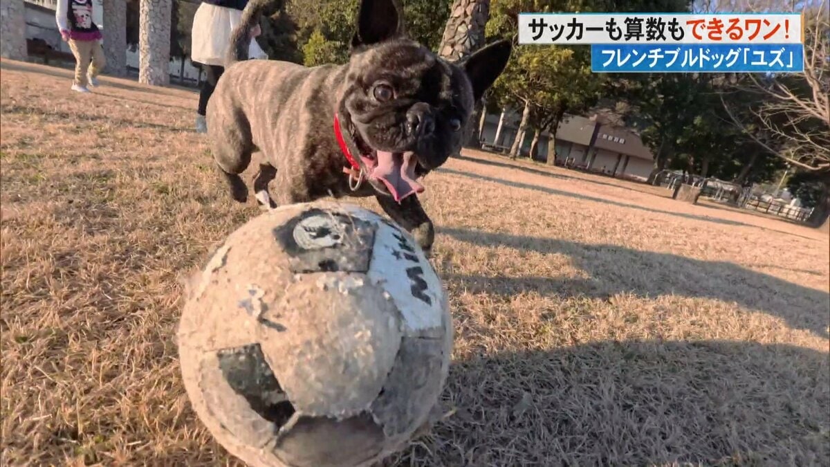 サッカー”も“算数”もできちゃうスーパーワンちゃんに密着 飼い主も