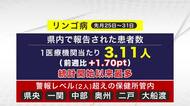 リンゴ病3.11人…統計開始以来最多　新型コロナも増加　百日ぜきは減少　岩手県