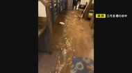 うなぎ店から悲鳴「丑前にコレある!?」大雨の浸水被害相次いだ津島市 自動車整備工場は「乾かす場所ない」