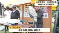 高級食材アオリイカを狙うイカ釣り大会　鹿児島・種子島
