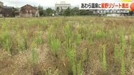 あわら温泉に「星野リゾート」が進出　開花亭の跡地に建設へ　福井県との協定で勝山市に続く2例目