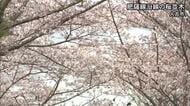 毎年にぎわう〈桜のトンネル〉　ＪＲ肥薩線沿線の桜並木【熊本】