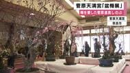 春告げる「盆梅展」開かれる　８種類接ぎ木”菅原八宝梅”など展示　学問の神様・菅原道真誕生の地とされる奈良市・菅原天満宮　３月１日まで開催