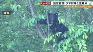 石川県でクマ目撃369件、過去3番目の多さ 「冬眠しないんだって感じ」専門家が警告する人里の餌問題