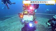 海の中のクリスマスツリー　サンタ姿のダイバーが設置　冬もダイ…