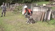 全国で相次ぐ自然災害　「災害救助犬」の育成進む　福島・西郷村で競技大会　要救助者を探し出す時間競う