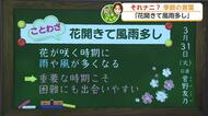 「花開きて風雨多し」満開の桜を楽しむチャンスは木曜日・金曜日【佐賀県】