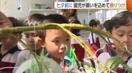 “七夕”を前に笹の飾りつけ！園児たちが短冊に込めた願いは「警察官になりたい」「逆立ちできるようになりたい」新潟
