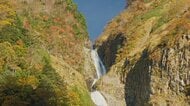 北アルプス・立山の麓、称名滝で紅葉が見ごろ　雨上がりの水たまりに「逆さ滝」が映り込む　澄み渡った青空と紅葉のコントラストに観光客が感激
