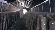 アメリカ 日本食品100品目の輸入規制撤廃 福島の農家「大変うれしい」