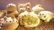 かわいい!「動物の顔」のパン 店主は女性建築士 月2回だけ開店するパン屋さん【長野発】