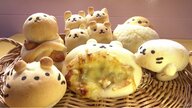 かわいい！「動物の顔」のパン　店主は女性建築士　月2回だけ開店するパン屋さん【長野発】