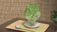 ひと月に1日だけ営業する激レアなかき氷店　幻の理由は父の介護　介護離職ゼロの経営理念を実践【熊本発】