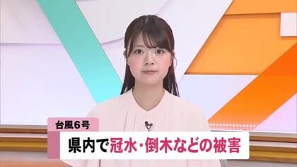 【台風6号】高知・四万十町で道路冠水　芸西村では看板が倒れる　倒木も