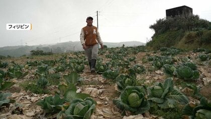 原油不足でアジアの農家悲鳴　キャベツ出荷しても“赤字”畑で腐らせること選んだ農家も　ガソリンスタンドは「燃料なし」