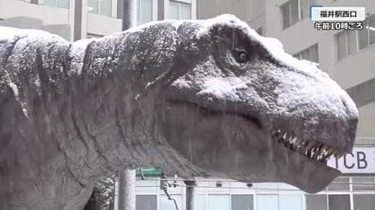 福井県内の嶺北中心に積雪　福井、武生などで2センチ　昼過ぎにかけピークも…夜のはじめごろまで大雪に注意（午前11時半現在）