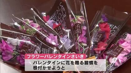 “バレンタインに花を”　佐伯市役所でスイートピーの花束を配布「消費拡大につなげたい」大分