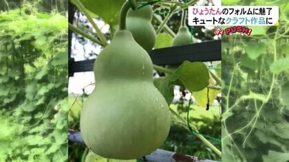 ひょうたん”がキュートなクラフト作品に 動物や楽器も…独特な形に魅了