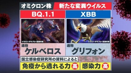 新たな変異株“グリフォン”と“ケルベロス”が世界で拡大 日本でも拡大の