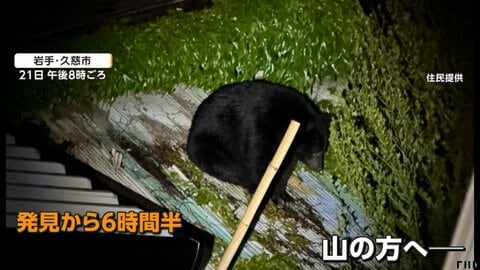「くわえて食べたみたい」飼い猫襲うクマ　屋根の上に6時間半居座り　サファリパーク周辺に出没　クマよけスプレー不足の懸念も