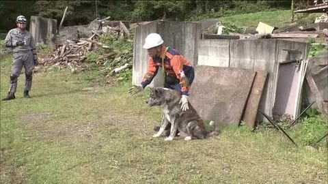 全国で相次ぐ自然災害　「災害救助犬」の育成進む　福島・西郷村で競技大会　要救助者を探し出す時間競う