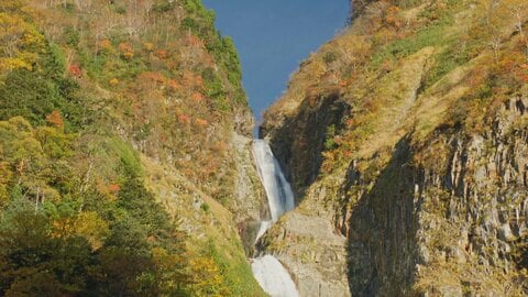 北アルプス・立山の麓、称名滝で紅葉が見ごろ　雨上がりの水たまりに「逆さ滝」が映り込む　澄み渡った青空と紅葉のコントラストに観光客が感激