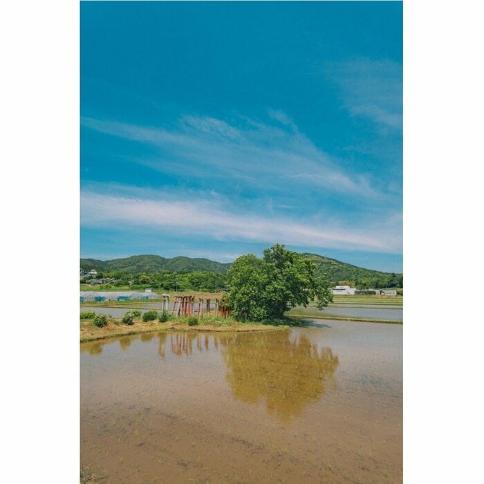 茨城県・稲荷大明神（2024年5月撮影）