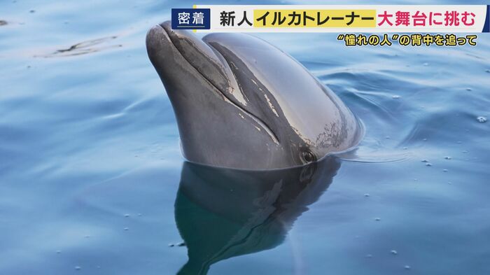 ショーの合間に猛特訓
