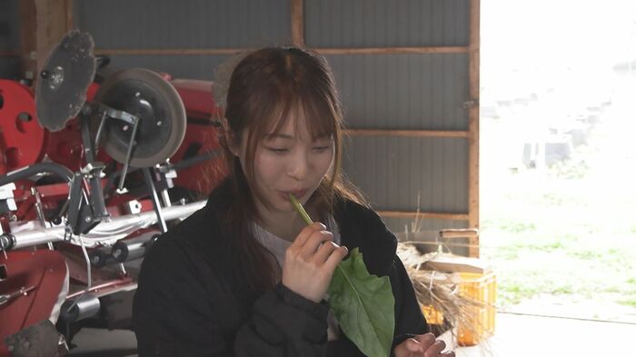 「チェック」とホウレンソウをひとくち