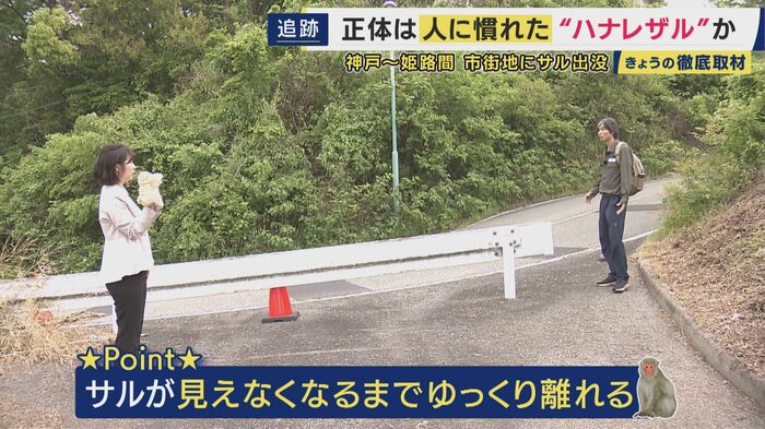 サルに遭遇したら…