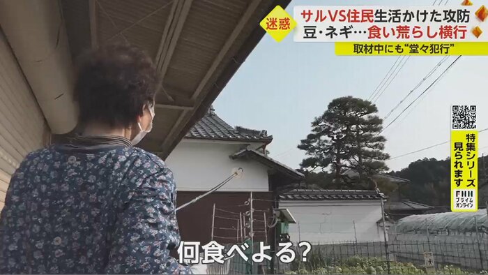 インタビュー中にサルを見つけた女性
