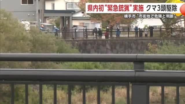 22日午後2時45分ごろ、緊急銃猟が行われた