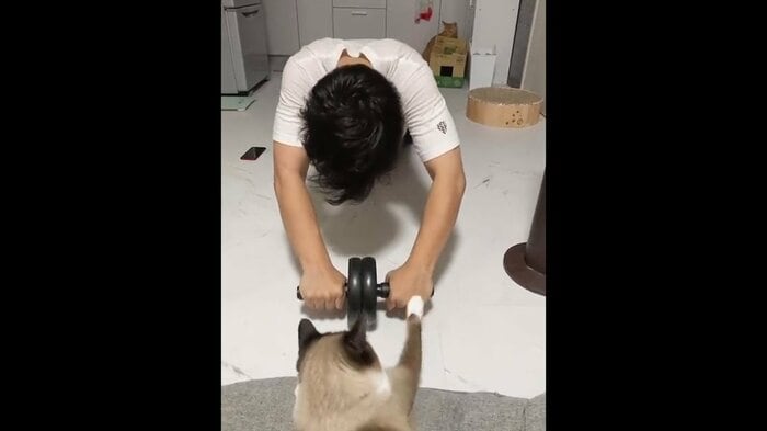 檄を飛ばすたぬきくん 提供:たぬき&とらさん