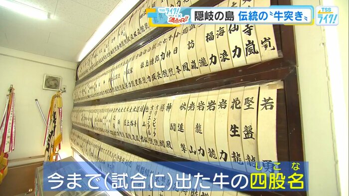 これまで試合に出た牛の四股名