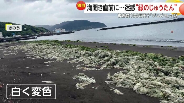 16日の現場の様子