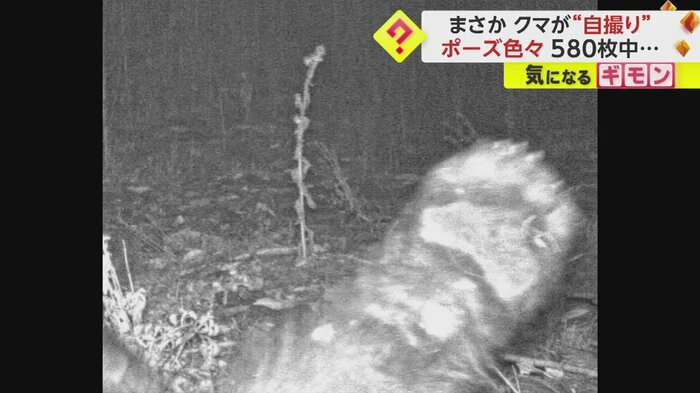 手を写したショットも
