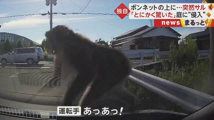 迷うことなく、ガードレールからボンネットに飛び乗った
