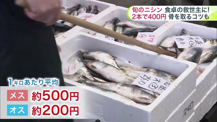 市場に14トンほどものニシンが水揚げ